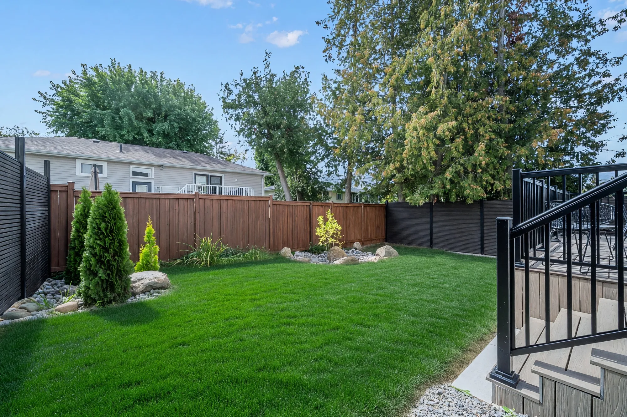 The back lawn shown green, with three cedars and a stone bed along the fence, the deck's stair at the right